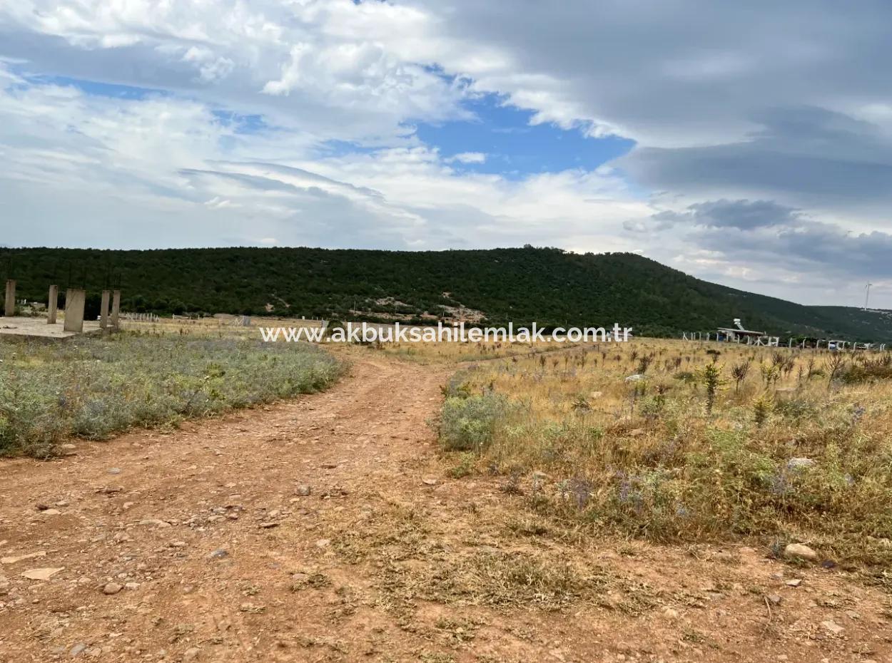 Didim Akbük'te Satılık 700 M² Arsa.